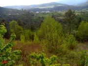 Carballal, desde el camino de la mina
